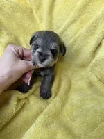 processed/0f9f69b4-494b-4f0e-bbae-b5f2bebe1307/listing/2c866dfc-4afa-448d-bb0d-eba74284cbdf/1287afca-ca80-4962-9562-5ad9d255352b