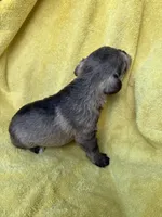 processed/0f9f69b4-494b-4f0e-bbae-b5f2bebe1307/listing/2c866dfc-4afa-448d-bb0d-eba74284cbdf/a0e575c5-bc0b-4f57-a72d-ddd8788cba83