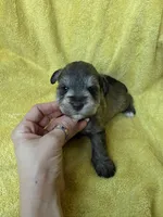 processed/0f9f69b4-494b-4f0e-bbae-b5f2bebe1307/listing/2c866dfc-4afa-448d-bb0d-eba74284cbdf/c6851064-0688-4c9b-a45c-9a52a0755ef5