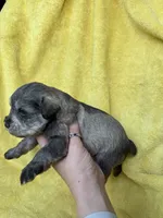 processed/0f9f69b4-494b-4f0e-bbae-b5f2bebe1307/listing/2c866dfc-4afa-448d-bb0d-eba74284cbdf/f2ab22ad-a060-48b1-a806-3b0bdf5b8ba2