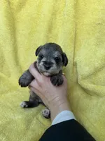 processed/0f9f69b4-494b-4f0e-bbae-b5f2bebe1307/listing/2c866dfc-4afa-448d-bb0d-eba74284cbdf/fd784a1f-77f8-4dfb-8d62-2142548b955c