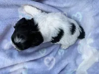 processed/0f9f69b4-494b-4f0e-bbae-b5f2bebe1307/listing/5d77532c-2126-4fcc-a81b-290a7bce4625/437d2246-2a39-404c-b9d9-a5fcae4befb1