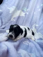 processed/0f9f69b4-494b-4f0e-bbae-b5f2bebe1307/listing/5d77532c-2126-4fcc-a81b-290a7bce4625/58b8069d-8861-4ba1-a7d8-113029dc7cc3