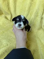 processed/0f9f69b4-494b-4f0e-bbae-b5f2bebe1307/listing/6c0b265f-948e-4d1a-acd8-563546b93092/1bb776cd-e81d-453a-9ecd-3c3703463d42