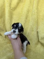 processed/0f9f69b4-494b-4f0e-bbae-b5f2bebe1307/listing/6c0b265f-948e-4d1a-acd8-563546b93092/55c8c7aa-d022-406c-9582-5e6887762723