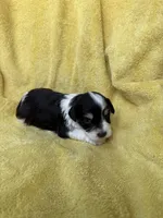 processed/0f9f69b4-494b-4f0e-bbae-b5f2bebe1307/listing/6c0b265f-948e-4d1a-acd8-563546b93092/58b29186-cc7c-429c-94bf-32c610b51eed