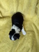 processed/0f9f69b4-494b-4f0e-bbae-b5f2bebe1307/listing/6c0b265f-948e-4d1a-acd8-563546b93092/59659a2a-8d73-41c4-a428-7c2a61a09309