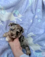 processed/0f9f69b4-494b-4f0e-bbae-b5f2bebe1307/listing/b7186618-ad33-4e48-8ef3-11956158853d/678ec230-a918-4888-818e-7d53ae8c061d