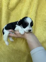 processed/0f9f69b4-494b-4f0e-bbae-b5f2bebe1307/listing/ef96388d-20ea-45ad-ba0e-1122aac9b9ab/21d20bcb-8ccc-4e9c-9229-054e86af6b5a