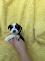 processed/0f9f69b4-494b-4f0e-bbae-b5f2bebe1307/listing/ef96388d-20ea-45ad-ba0e-1122aac9b9ab/43ddd17d-8af0-44b8-9ae2-66780e2e05cb