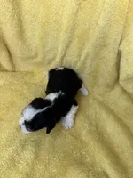 processed/0f9f69b4-494b-4f0e-bbae-b5f2bebe1307/listing/ef96388d-20ea-45ad-ba0e-1122aac9b9ab/df07f4b4-735f-47d2-a659-972b6d494b59