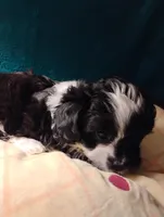 processed/0fa37e35-8bda-4114-832c-fed5fcbbd8e3/listing/2fffc9f8-fa8f-463b-b5c7-51b85418554d/20c8288c-3278-49da-a2fe-4d60e34f5b64