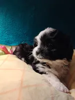 processed/0fa37e35-8bda-4114-832c-fed5fcbbd8e3/listing/2fffc9f8-fa8f-463b-b5c7-51b85418554d/87af9490-9540-45a0-9933-93aeda407366