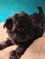 processed/0fa37e35-8bda-4114-832c-fed5fcbbd8e3/listing/525c202a-be81-45c7-baf9-7c860ce25103/0dddf07a-b02f-40c8-bdc0-1a2acf504e92