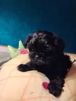 processed/0fa37e35-8bda-4114-832c-fed5fcbbd8e3/listing/525c202a-be81-45c7-baf9-7c860ce25103/1a55eba3-3639-4901-ac1a-27040df28d73