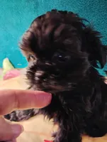 processed/0fa37e35-8bda-4114-832c-fed5fcbbd8e3/listing/525c202a-be81-45c7-baf9-7c860ce25103/6658e6e1-c736-40a7-865e-764bad32b25f