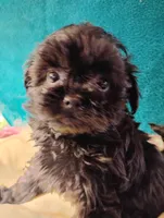 processed/0fa37e35-8bda-4114-832c-fed5fcbbd8e3/listing/525c202a-be81-45c7-baf9-7c860ce25103/a0308ce4-fb39-4d40-a0ea-d87e7199dcce