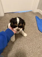 processed/0fa4a83d-87ff-4cf5-9b2d-232cbe7d0926/listing/3ce69f9e-b804-4be5-b735-2327daf8f93c/da56081b-48e8-43c9-92b7-c0e97dc49a7a