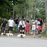 processed/0faa711a-ec8e-43c8-a3d1-501e8b0ebb78/facility/31b906e4-ac0d-4e0b-8955-298062d800ff