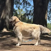 processed/0faa711a-ec8e-43c8-a3d1-501e8b0ebb78/facility/ca9e3b7d-46a7-47b1-bf59-a47d6d290963