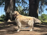 processed/0faa711a-ec8e-43c8-a3d1-501e8b0ebb78/facility/ca9e3b7d-46a7-47b1-bf59-a47d6d290963