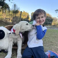 AMY of Avalon, a female Golden Retriever for sale in Hawthorne, FL – Photo 10 of 10
