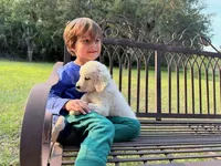 Bianca of Avalon, a female Golden Retriever for sale in Hawthorne, FL – 1 of 10