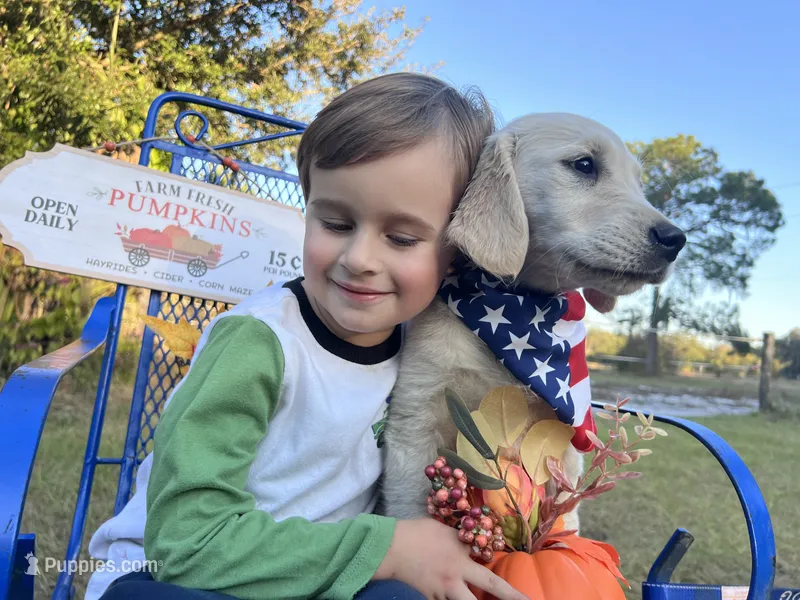 April ESA Service dog prospect