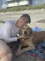 Anya of Avalon - purebred female golden retriever with DNA profile, a female Golden Retriever for sale in Hawthorne, FL – 1 of 10