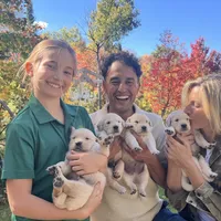 Akela of Avalon, a male Golden Retriever for sale in Hawthorne, FL – Photo 10 of 10