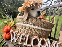 processed/0faa711a-ec8e-43c8-a3d1-501e8b0ebb78/listing/ed625daa-379f-45f7-a896-98cdc4e9c6bd/0ff7bcf1-6c39-4308-b810-d9d28b04b031