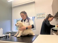 processed/0faa711a-ec8e-43c8-a3d1-501e8b0ebb78/listing/ed625daa-379f-45f7-a896-98cdc4e9c6bd/27758ecd-7f15-4193-8b5b-6c44eed949f8