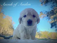 processed/0faa711a-ec8e-43c8-a3d1-501e8b0ebb78/listing/ed625daa-379f-45f7-a896-98cdc4e9c6bd/96af1215-3b00-436b-9391-288bcc7d1eeb