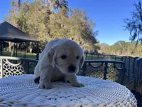 processed/0faa711a-ec8e-43c8-a3d1-501e8b0ebb78/listing/ed625daa-379f-45f7-a896-98cdc4e9c6bd/c9517283-a4ca-4af2-ae8c-b0f50eb4d515