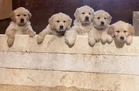 processed/0faa711a-ec8e-43c8-a3d1-501e8b0ebb78/listing/ed625daa-379f-45f7-a896-98cdc4e9c6bd/df4a894e-2037-4a6f-8559-f47f5de573e9