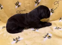 processed/0fae5705-28a3-4354-8b39-40dd60075a8c/listing/2c3dd435-8818-4c7e-9ff0-ea47696408c9/7f9e9425-bcb0-4f6a-acd7-ffae9dfeea63