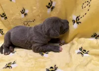 processed/0fae5705-28a3-4354-8b39-40dd60075a8c/listing/5936fb3f-3335-419c-8fb0-4e74d076b0bb/07da478c-d486-417e-a834-2493df9bf669