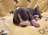 processed/0fae5705-28a3-4354-8b39-40dd60075a8c/listing/65851708-aec7-49fa-a384-c8eeee8e11ff/24182571-dc96-4712-a855-068bdfd83a34