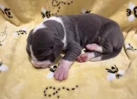 processed/0fae5705-28a3-4354-8b39-40dd60075a8c/listing/65851708-aec7-49fa-a384-c8eeee8e11ff/28f92c4e-0c09-4288-97cd-26759bb43cc1