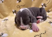 processed/0fae5705-28a3-4354-8b39-40dd60075a8c/listing/65851708-aec7-49fa-a384-c8eeee8e11ff/715afa9b-14d0-4a6c-83d7-123225631fb3