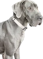 processed/0fae5705-28a3-4354-8b39-40dd60075a8c/listing/6f959e64-04e0-423e-a668-df921f6d239e/152da6d8-d0ec-4ae1-974a-394e14350447