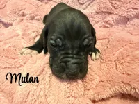 processed/0fae5705-28a3-4354-8b39-40dd60075a8c/listing/6f959e64-04e0-423e-a668-df921f6d239e/39d0e461-3ea0-4775-be8a-2a72cfb0997e