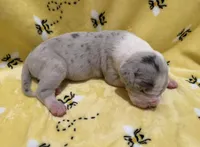 processed/0fae5705-28a3-4354-8b39-40dd60075a8c/listing/7b281873-772a-4a36-9ab8-0e97951aa6f2/ba136868-3331-4822-9fda-bd43abbfce3b