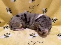 processed/0fae5705-28a3-4354-8b39-40dd60075a8c/listing/806e1dc4-2099-4b09-b5d3-e76a4af3433b/81de0bf4-1ecc-4a0b-8126-ffae74b4ef66