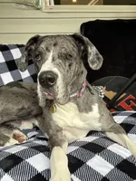 processed/0fae5705-28a3-4354-8b39-40dd60075a8c/listing/ae7d8642-55f5-4b6c-a743-7f64c8d7db12/4dd99a31-dcde-4d45-92ea-70fa594ecb7d