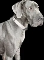 processed/0fae5705-28a3-4354-8b39-40dd60075a8c/listing/ae7d8642-55f5-4b6c-a743-7f64c8d7db12/6da3a036-4fde-4e75-ae38-dc5f2c0ffdce