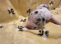 processed/0fae5705-28a3-4354-8b39-40dd60075a8c/listing/ae7d8642-55f5-4b6c-a743-7f64c8d7db12/a394be0c-a32b-4dda-9021-d672ae57562c