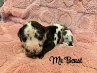 processed/0fae5705-28a3-4354-8b39-40dd60075a8c/listing/bea8e280-ad04-4267-b743-43e9a1d63f14/98df1bc5-640a-4394-bb92-51d141b28e0d