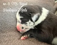 processed/0fae5705-28a3-4354-8b39-40dd60075a8c/listing/bea8e280-ad04-4267-b743-43e9a1d63f14/c0394aa7-bca5-4075-8fbc-88700670c2c1