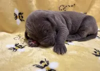 processed/0fae5705-28a3-4354-8b39-40dd60075a8c/listing/cd659bd7-a202-451c-8a77-5ffb4a525165/37704cc7-5a1a-499e-94ff-f951ce72626f